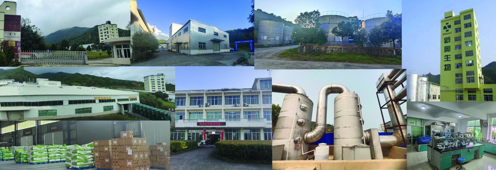 Asam Lemak Rantai Pendek Butirat