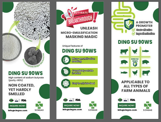 Tidak berbau Natrium Butirat 90% Untuk Aqua