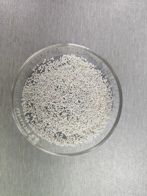 Kalsium Butyrate 80% Rilis Perlahan untuk babi dan unggas