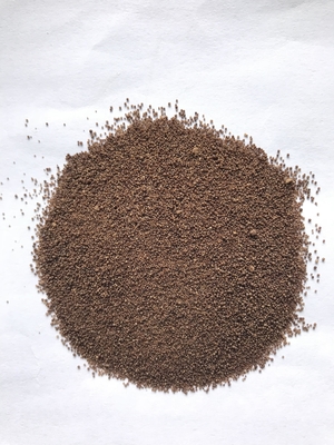 Probiotik Clostridium butyricum