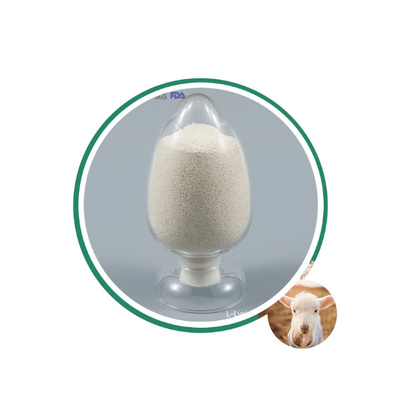 Rilis lambat 80% Kalsium Butirat Lapisan 50% Ditambah Natrium Butirat 30% CAS 5743-36-2 Untuk Aqua