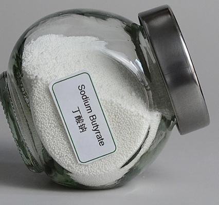 5743-36-2 70% Kalsium Butyrate Powder Plus Bacillus Licheniformis White