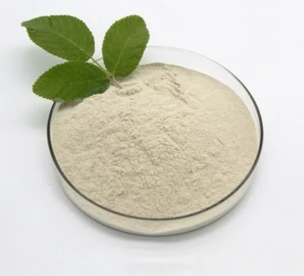 Bacillus Subtilis 90% C4H7O2Na Sodium Butyrate Powder CAS 156-54-7