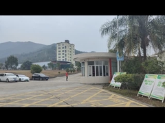 PABRIK SINGAO LONGYAN